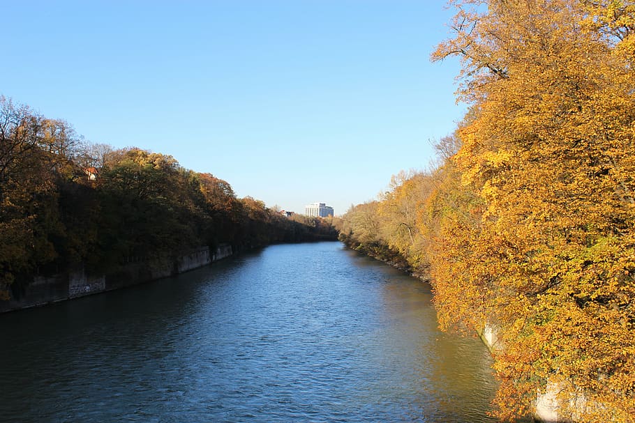 isar, river, munich, germany, autumn, tree, plant, water, change HD wallpaper