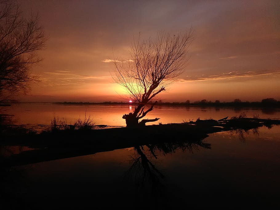 River, Tree, Sunset, Water, Nature, reflection, the sun, the beauty of nature HD wallpaper