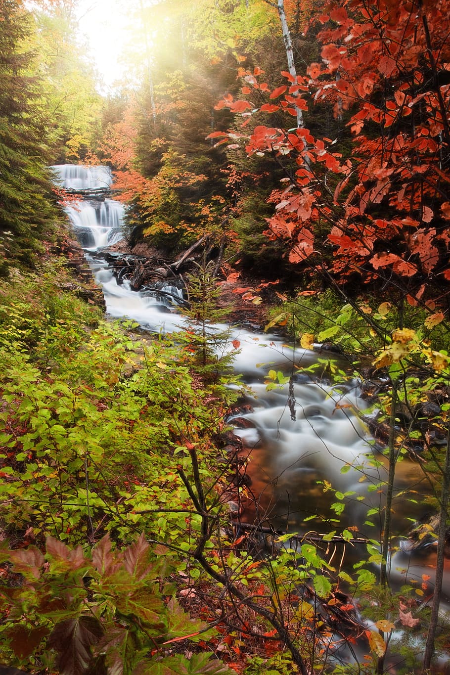 body of water surrounded by trees, waterfall, autumn, nature HD wallpaper