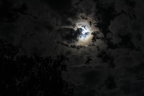 moon, night, sky, moonlight, outdoor, natural, dark, uganda HD wallpaper