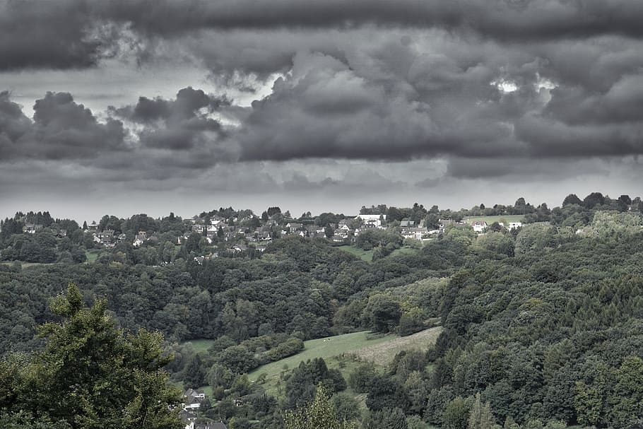 skyline, city, clouds, mood, forest, cloud - sky, tree, environment HD wallpaper
