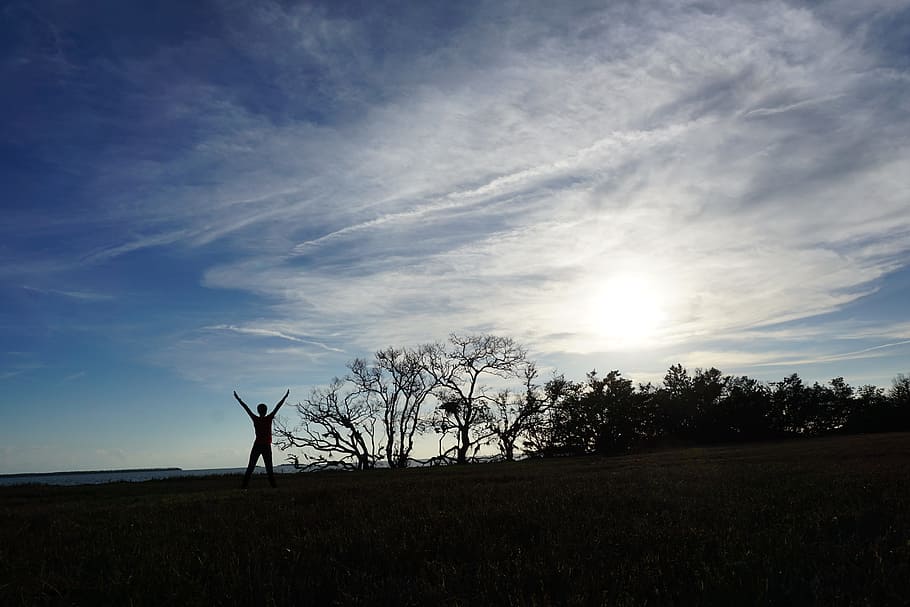 nature, landscape, panoramic, tree, sky, yoga, relax, sport HD wallpaper