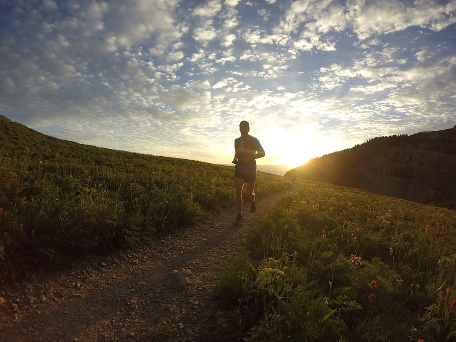 HD wallpaper: man running on pathway between grass, Sunrise, Runner,  Morning | Wallpaper Flare