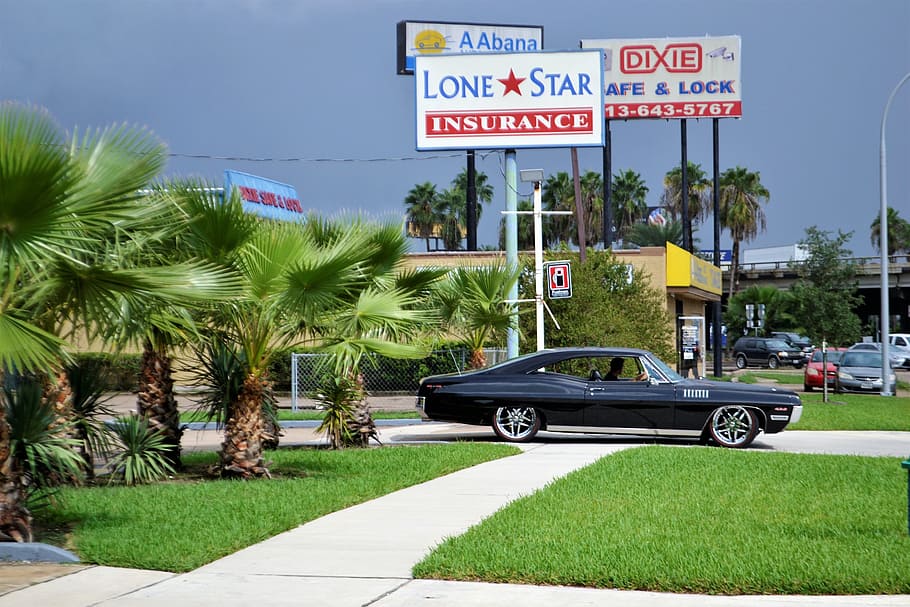 black coupe parked near Lone Star Insurance building, classic car and palm trees, HD wallpaper