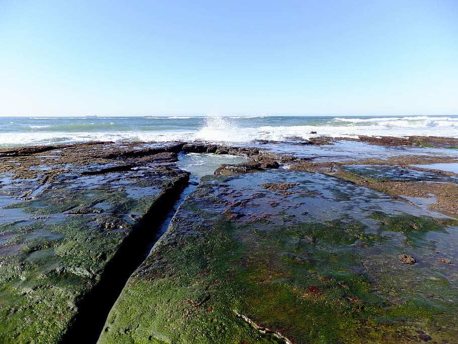 Beach, Rocks, Surf, Ocean, Nature, Coast, sea, coastline, seaside HD wallpaper