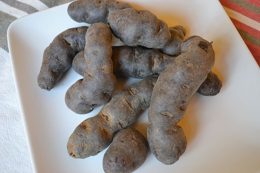 potato, vitelotte, indoors, still life, food, food and drink HD wallpaper
