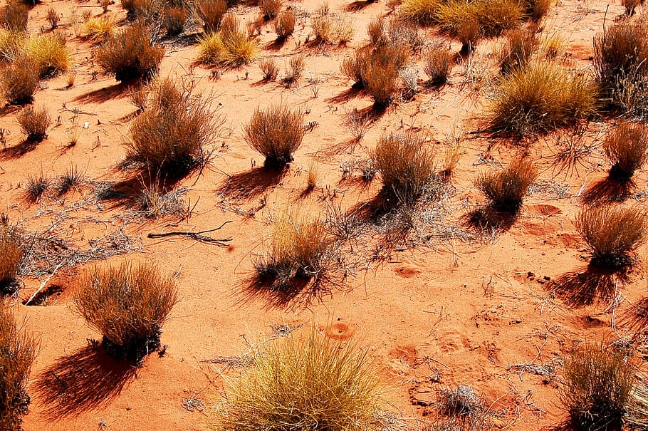 outback, australia, landscape, ground, sand, drought, arid HD wallpaper