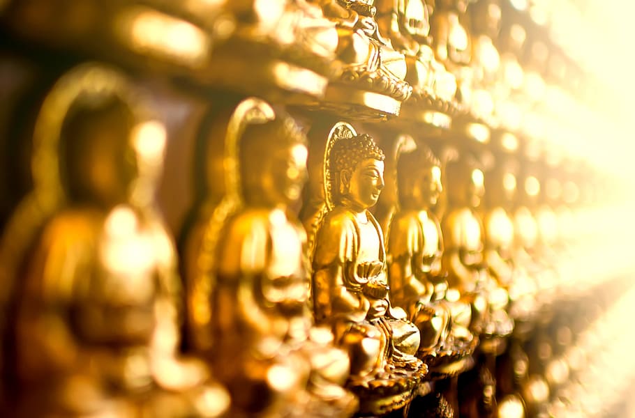 blur, statues, religion, focus, buddha, close -up, religious HD wallpaper