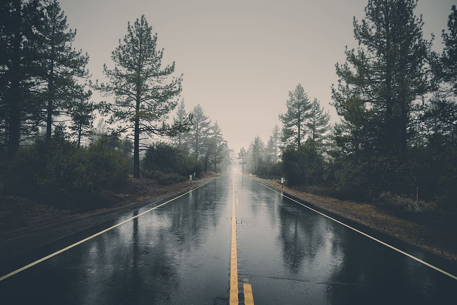 gray asphalt road, rural, pavement, rain, wet, raining, trees, HD wallpaper
