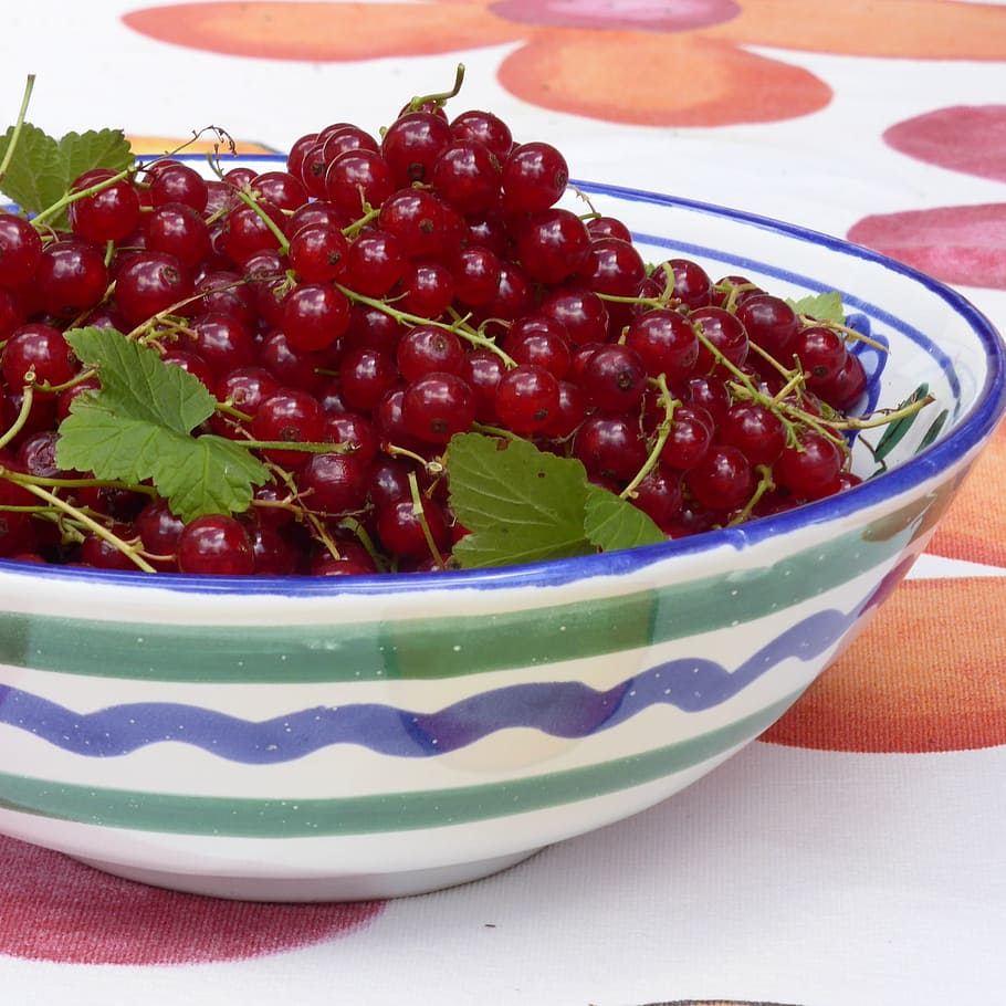 currants, red, red currant, berries, food, sweet, soft fruit HD wallpaper