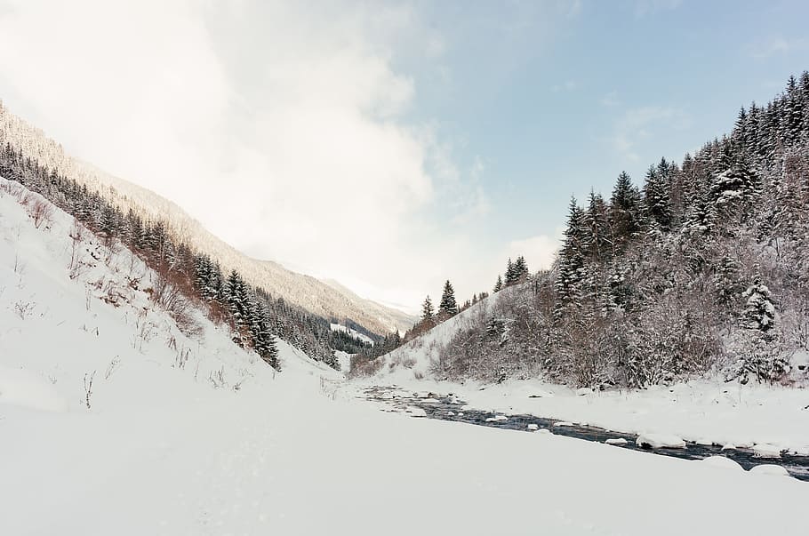 Winter Landscape, nature, snow, tree, mountain, cold - Temperature HD wallpaper