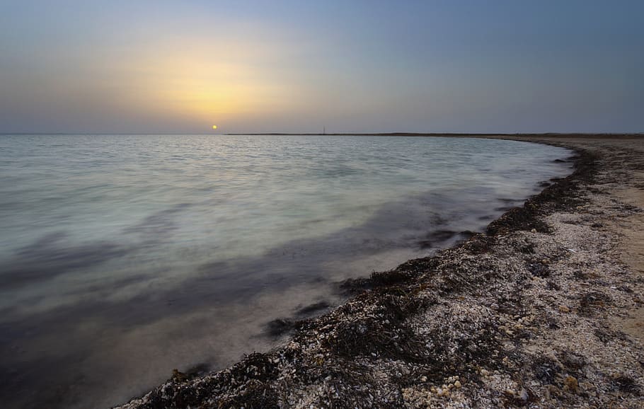 seascape, doha, qatar, gulf, beach, shells, seaweed, sunset, HD wallpaper