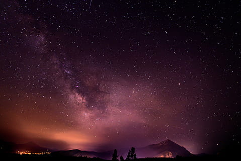 silhouette of trees under starry night, view, sky, nature, clouds HD wallpaper