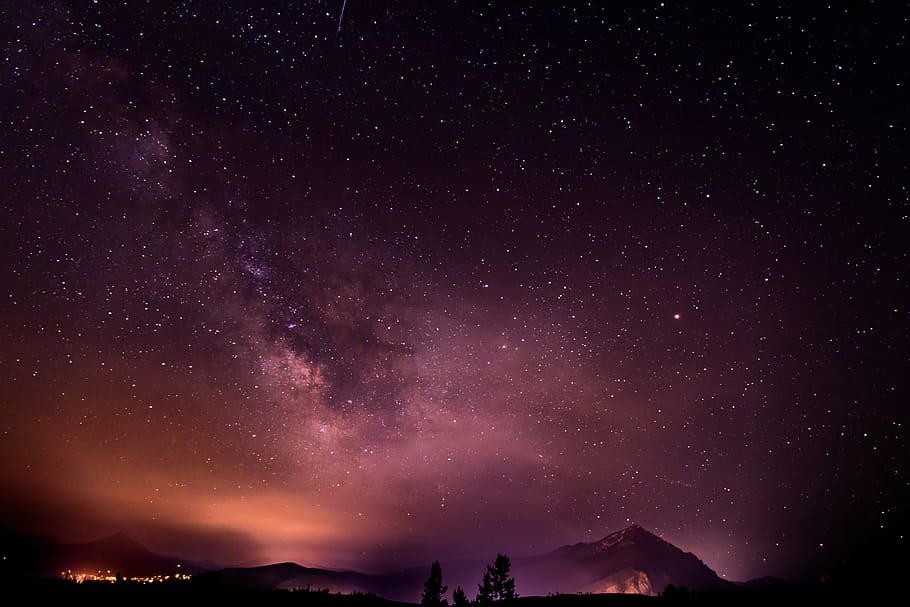 silhouette of trees under starry night, view, sky, nature, clouds HD wallpaper