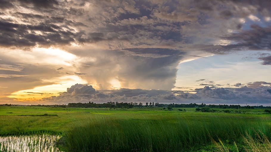 White Clouds and Green Field Horizon, cloudy, countryside, cropland HD wallpaper