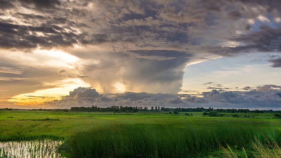 grass field during daytime, nature, sky, green, water, clouds, HD wallpaper