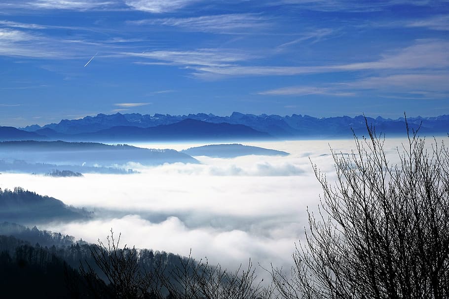 fog, sky, nature, trees, winter, autumn, mood, landscape, sun HD wallpaper