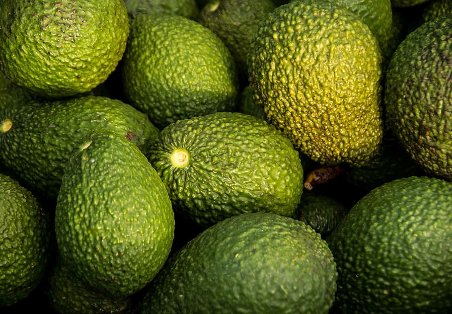 bunch of avocados, hass avocado, fruit, green, harvest, picked