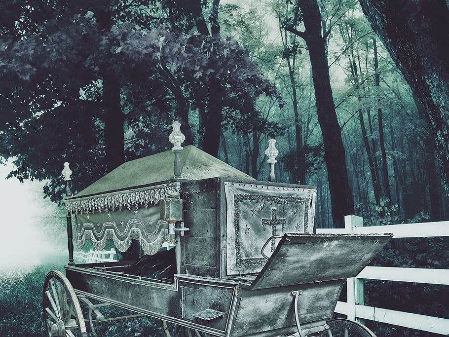 death, forest, dark, nature, deceased persons, doodskoets, coach HD wallpaper