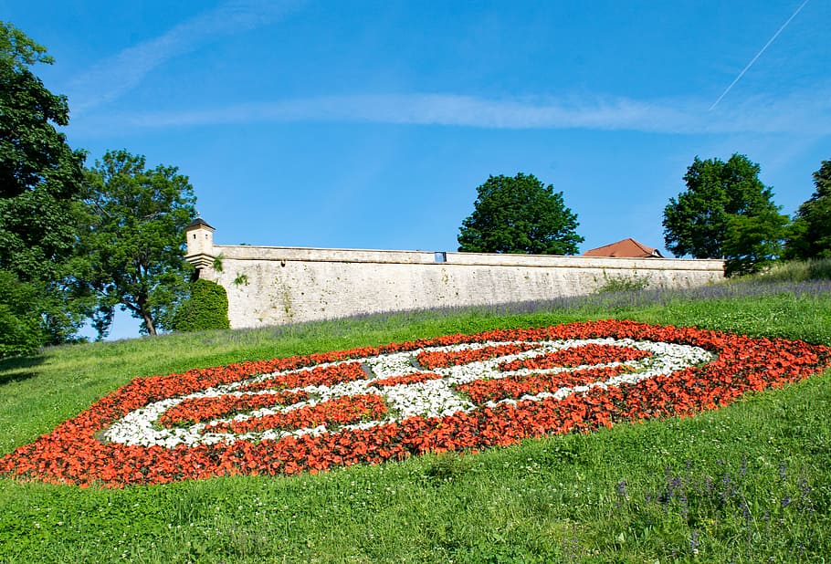 petersberg, erfurt, thuringia germany, flowers, citadel, culture, HD wallpaper