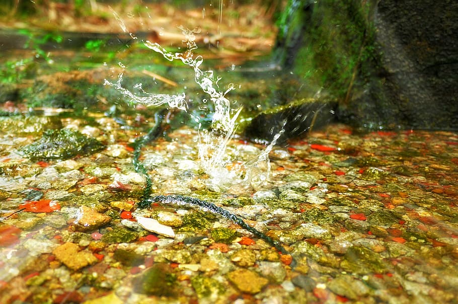 River, Water, Rocks, Splash, motion, nature, no people, blurred motion HD wallpaper