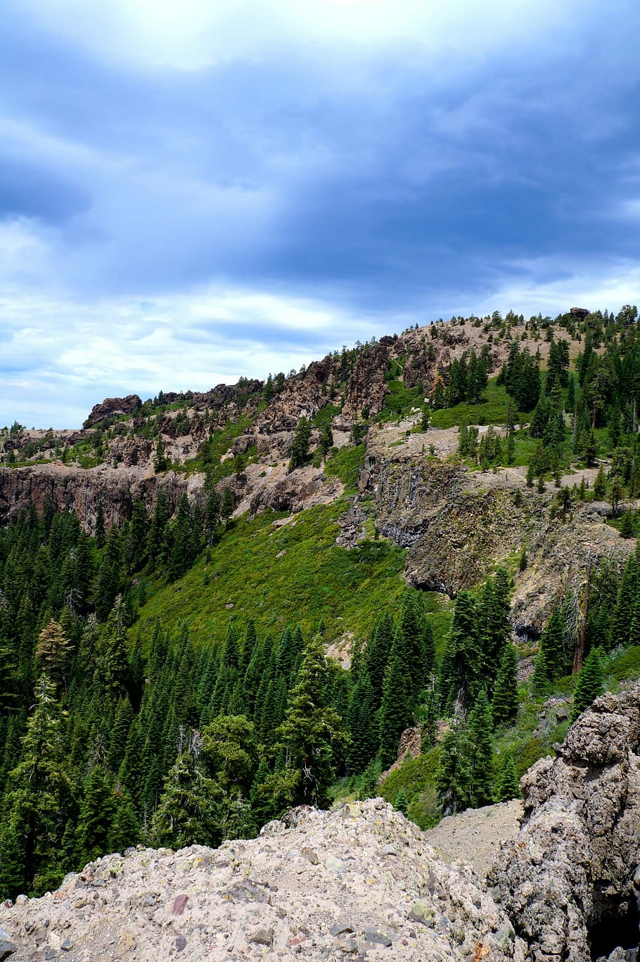 Nature, Forest, Cliffs, Landscape, outdoor, environment, natural HD wallpaper