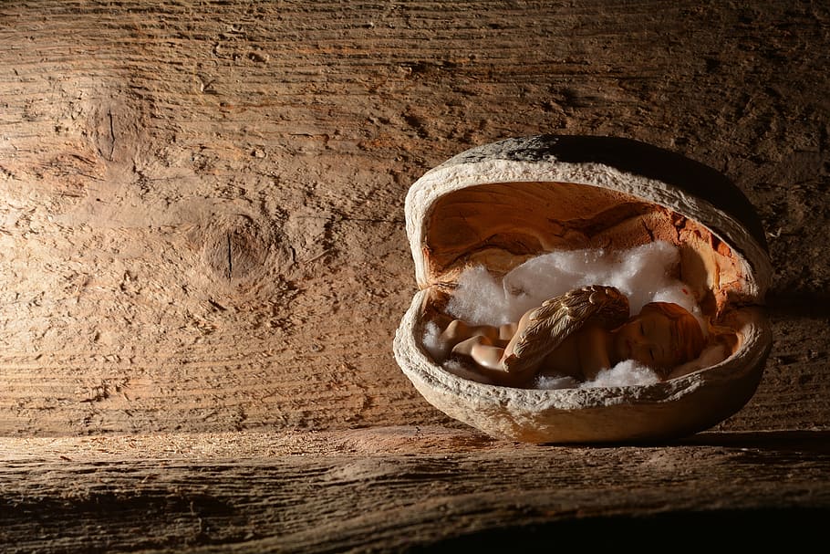 angel, nut, walnut, sleep, concerns, deco, wood, indoors, wood - material HD wallpaper