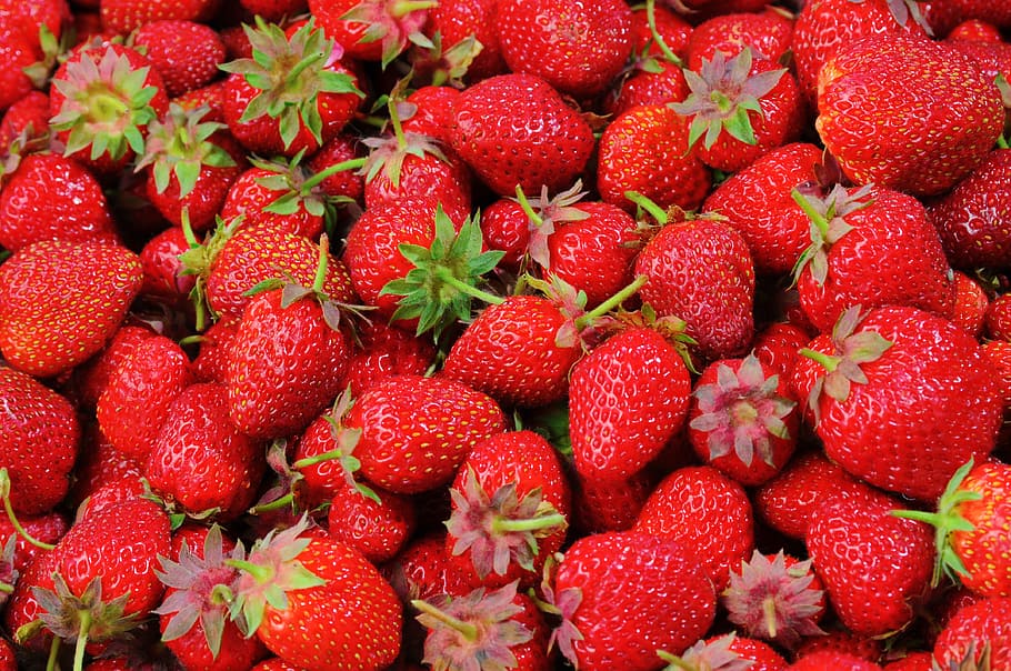 bunch of strawberries, fruit, freshness, nature, ripe, sweet HD wallpaper
