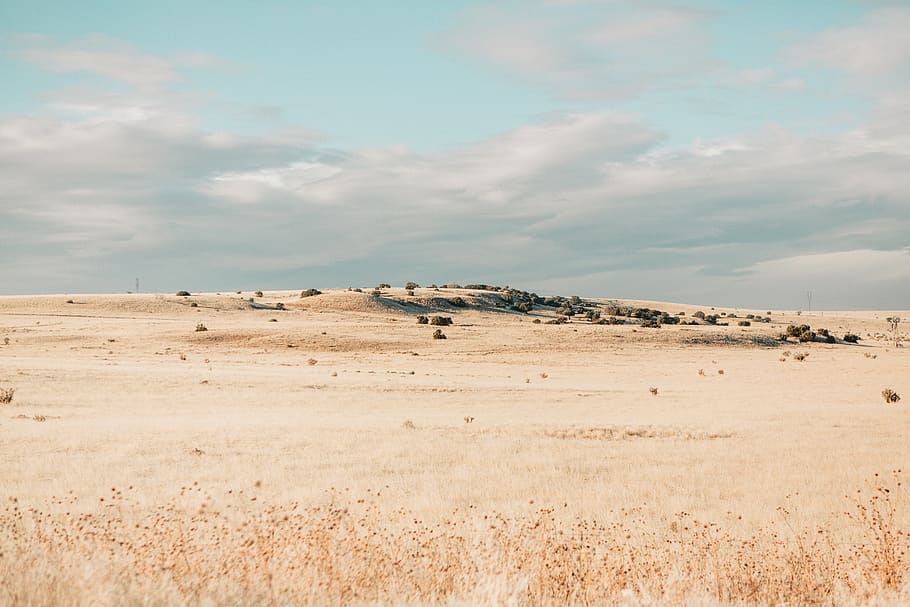 landscape photo of grass field, landscape photography of desert