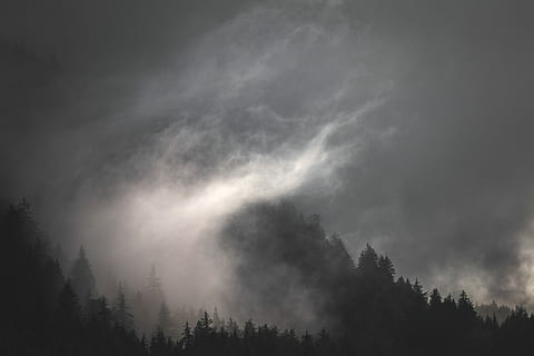photo of forest and clouds, silhouette of pine trees during nighttime HD wallpaper