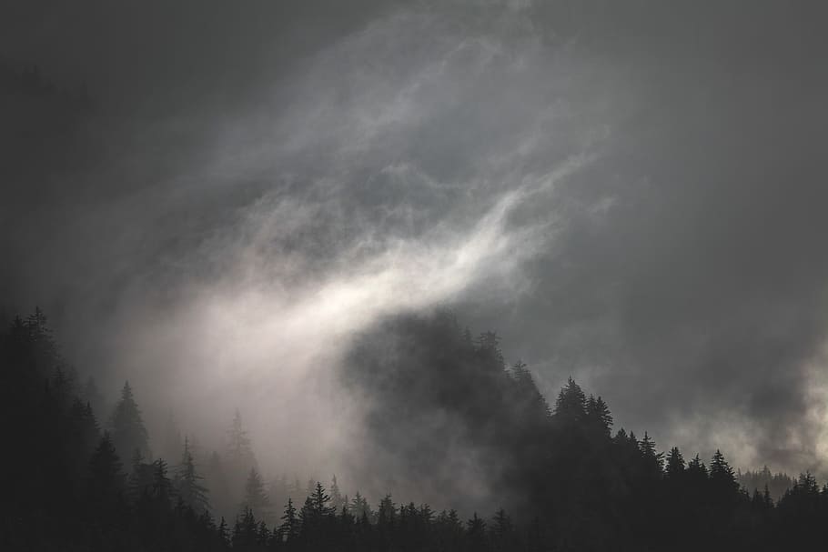 fog-storm-storm-cloud-cloud.jpg