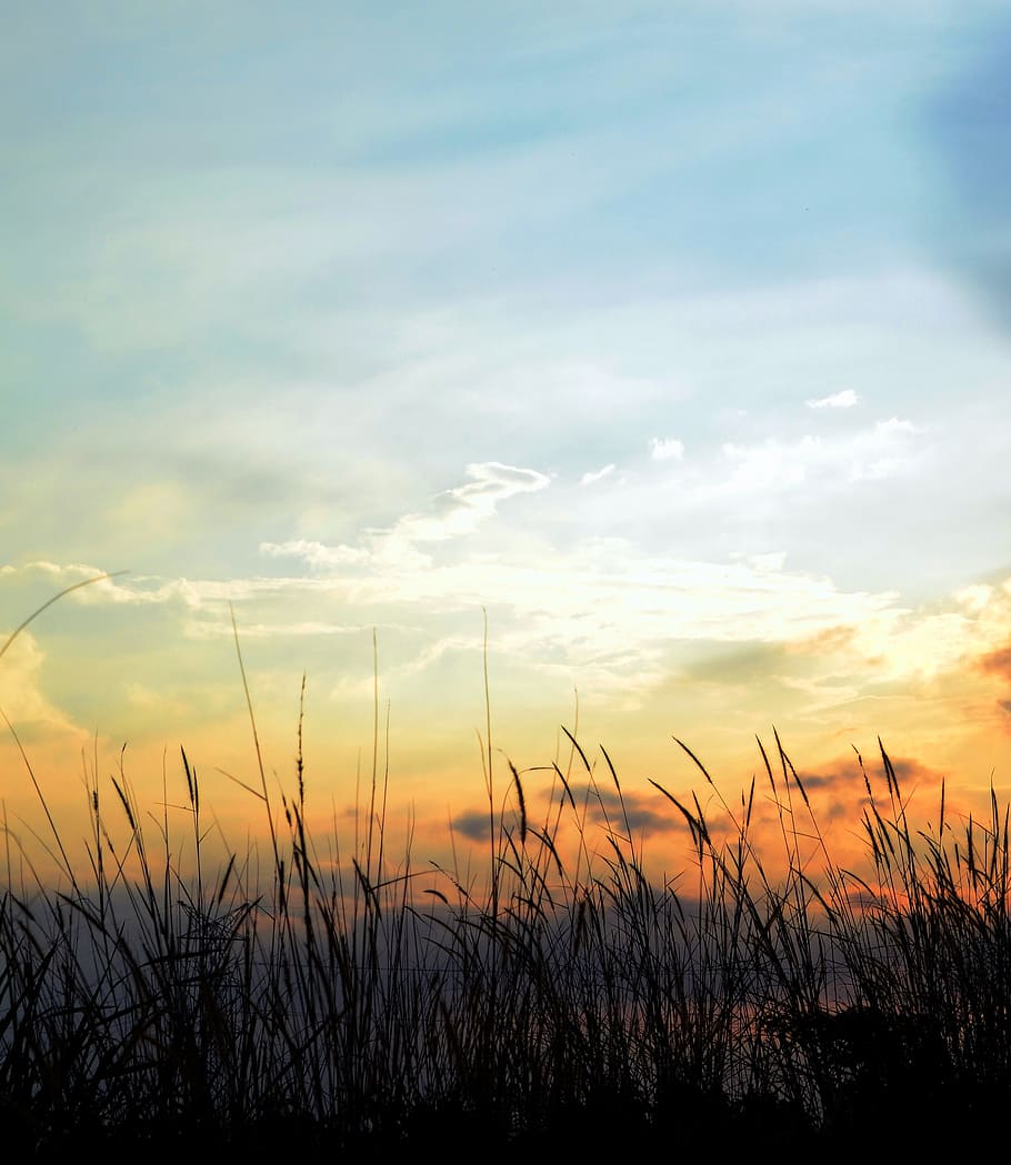 sky, cloudy, nature, grass, outdoors, dramatic, beautiful, sunset HD wallpaper