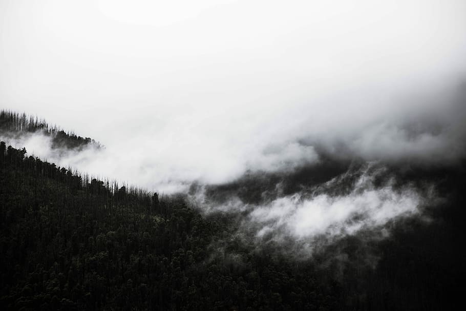 green mountain covered by fog photography, mountains covering white clouds during daytime HD wallpaper