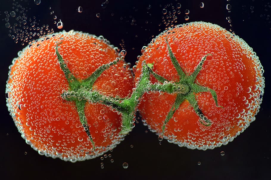 two tomatoes under the water, Vegetables, Food, about, red HD wallpaper