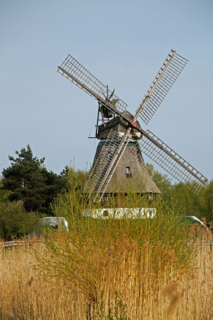 windmill, lower saxony, renewable energy, wind turbine, plant HD wallpaper