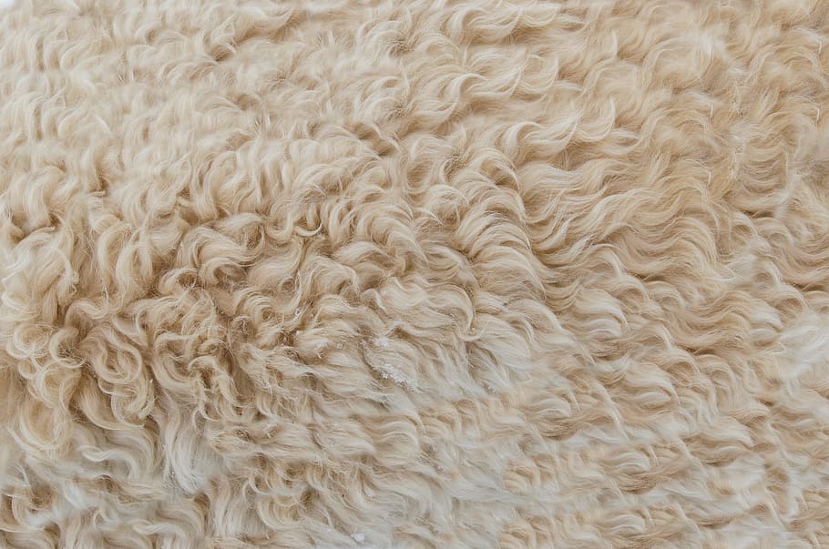dry, pattern, texture, fur, background, beige, brown, close-up