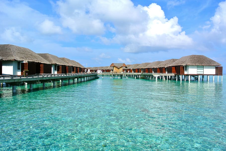 calm body of water, maldives, beach, holiday, vocation, clear water HD wallpaper