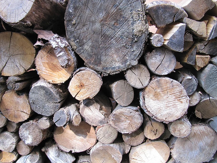 Tree, Wood, Bark, Forest, Log, stack, timber, woodpile, heap HD wallpaper