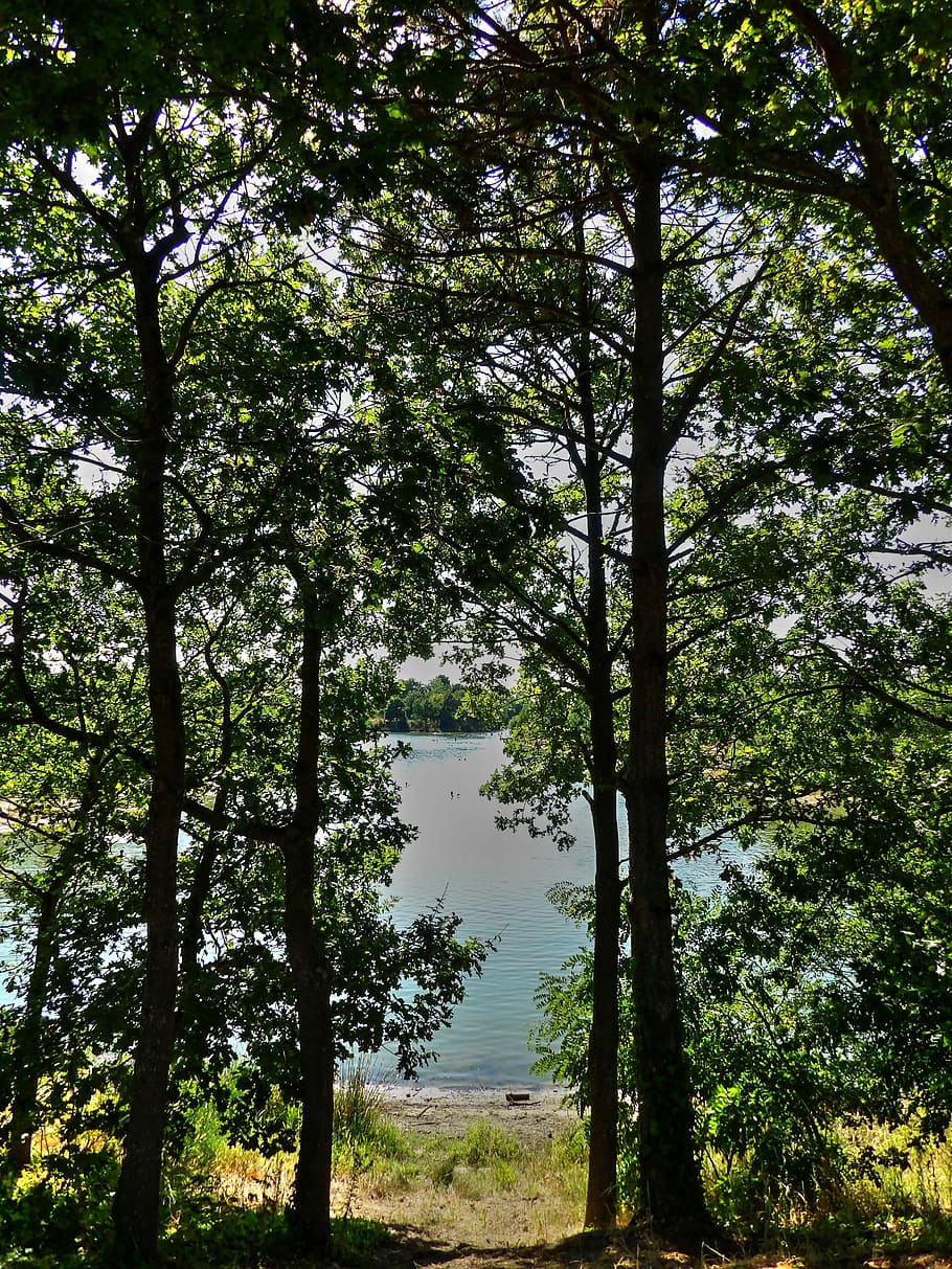 Water, Calm, Landscape, Tree, France, green, summer, shore HD wallpaper