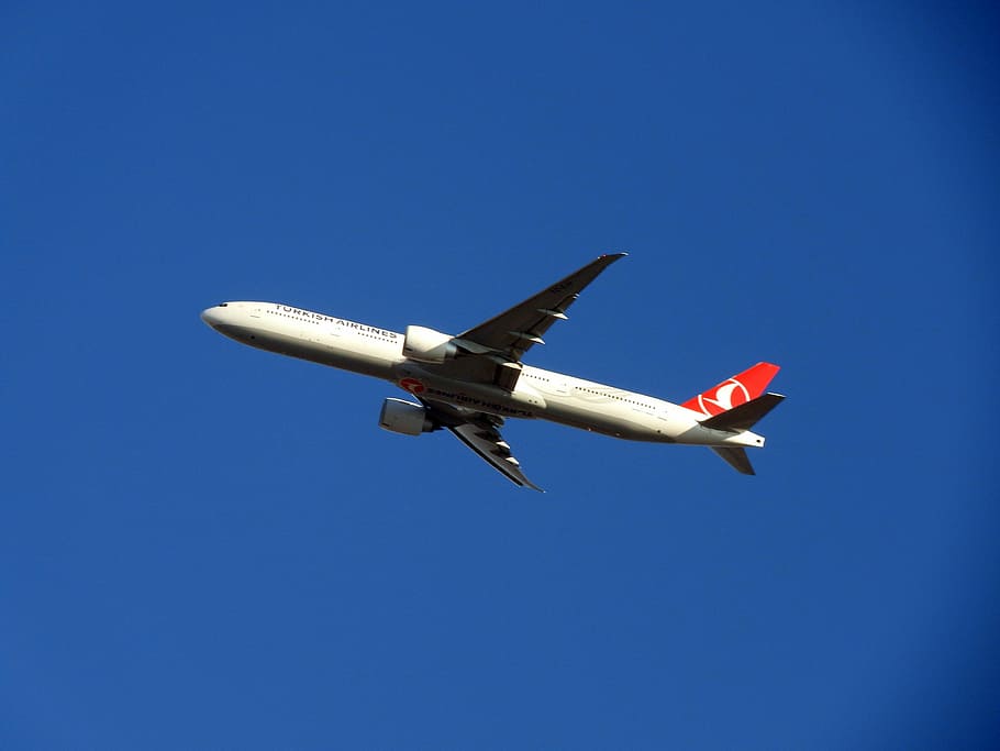 plane, trip, turkey, holidays, ride, travel, air vehicle, airplane HD wallpaper