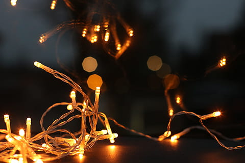 Shallow Focus Photography of String Lights, back light, blur HD wallpaper