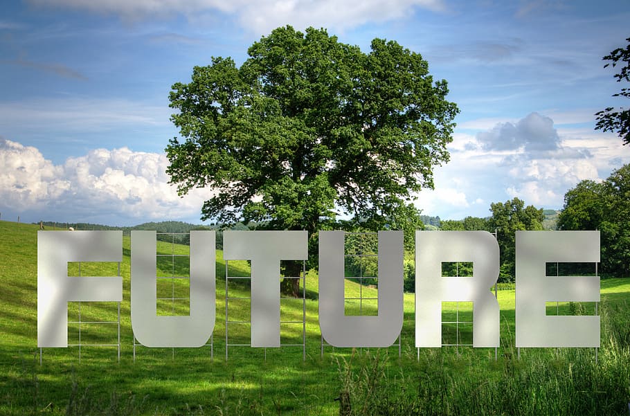 white Future freestanding letters near green leafed tree, forward HD wallpaper