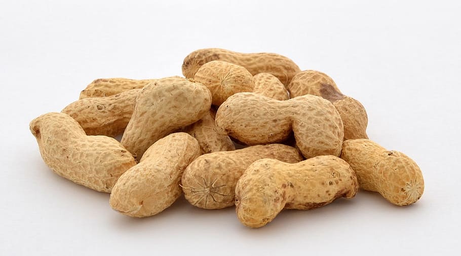 brown peanuts, Food, Snack, Healthy, natural, ingredient, nutrition, HD wallpaper