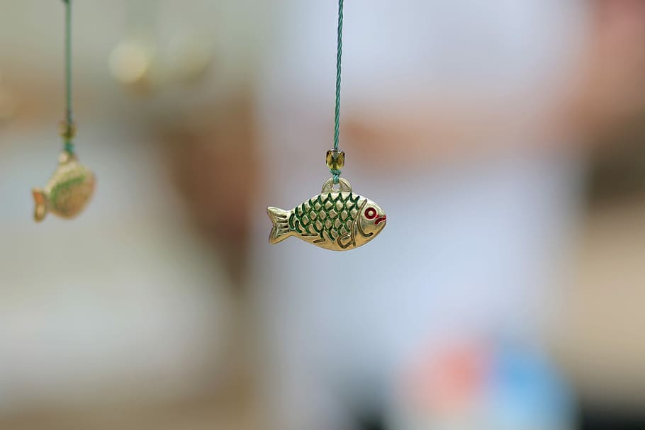 Model, Decorative Fish, landscape decoration, bijouterie, little HD wallpaper