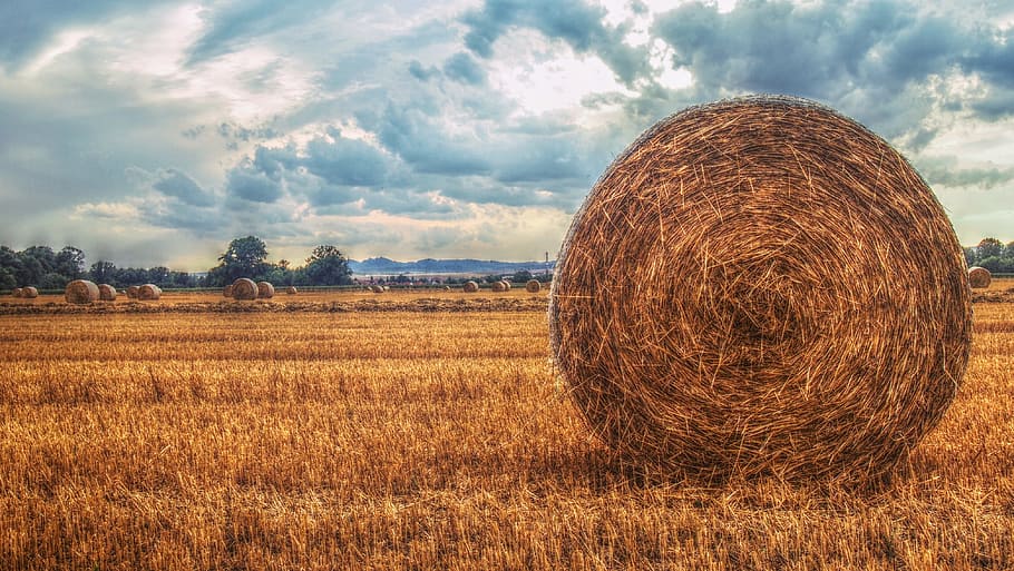 round hay bale, field, heaven, landscape, sky, clouds, nature HD wallpaper