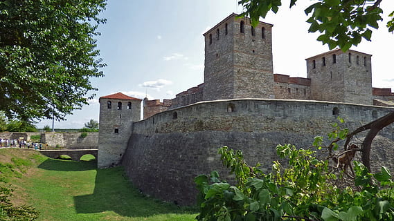 HD wallpaper: vidin, bulgaria, fortress, sculpture, baba vida, plant ...