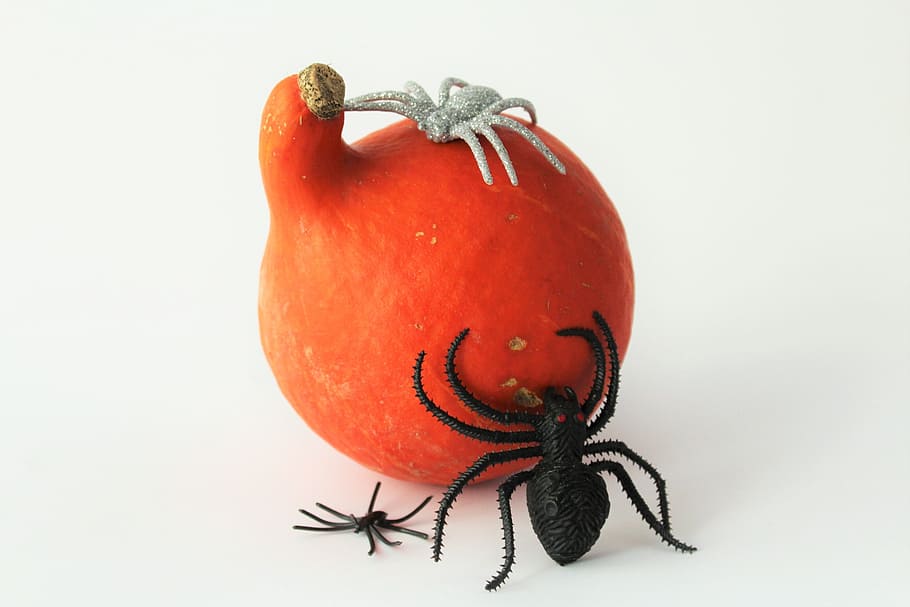 pumpkins, halloween, spin, black, silver, happy halloween, vegetables HD wallpaper