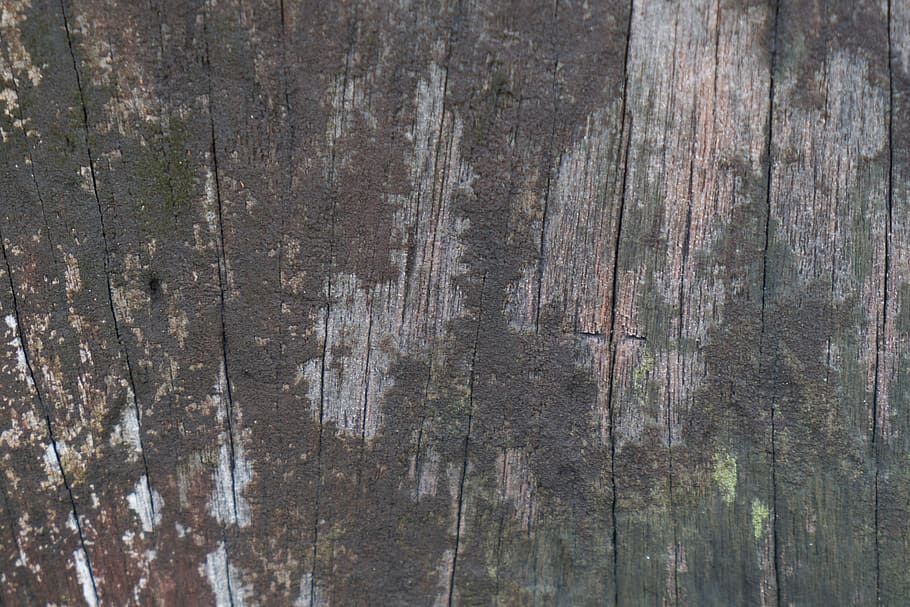 wood, timber, texture, abstract, full frame, backgrounds, wood - material HD wallpaper