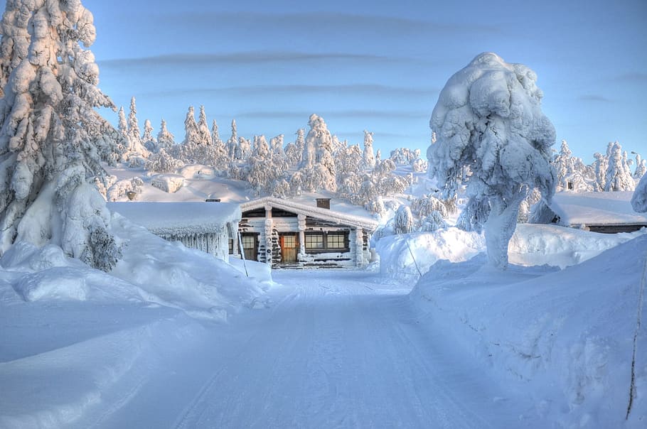 white capped houses and trees during daytime, painted house HD wallpaper