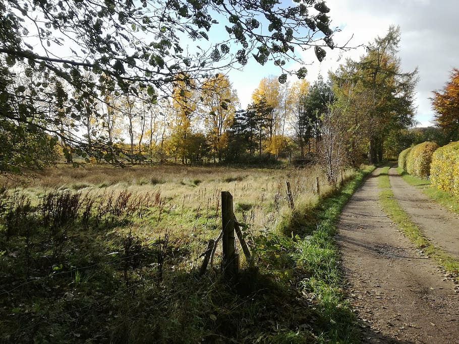autumn, fall, landscape, trees, october, countryside, fence HD wallpaper